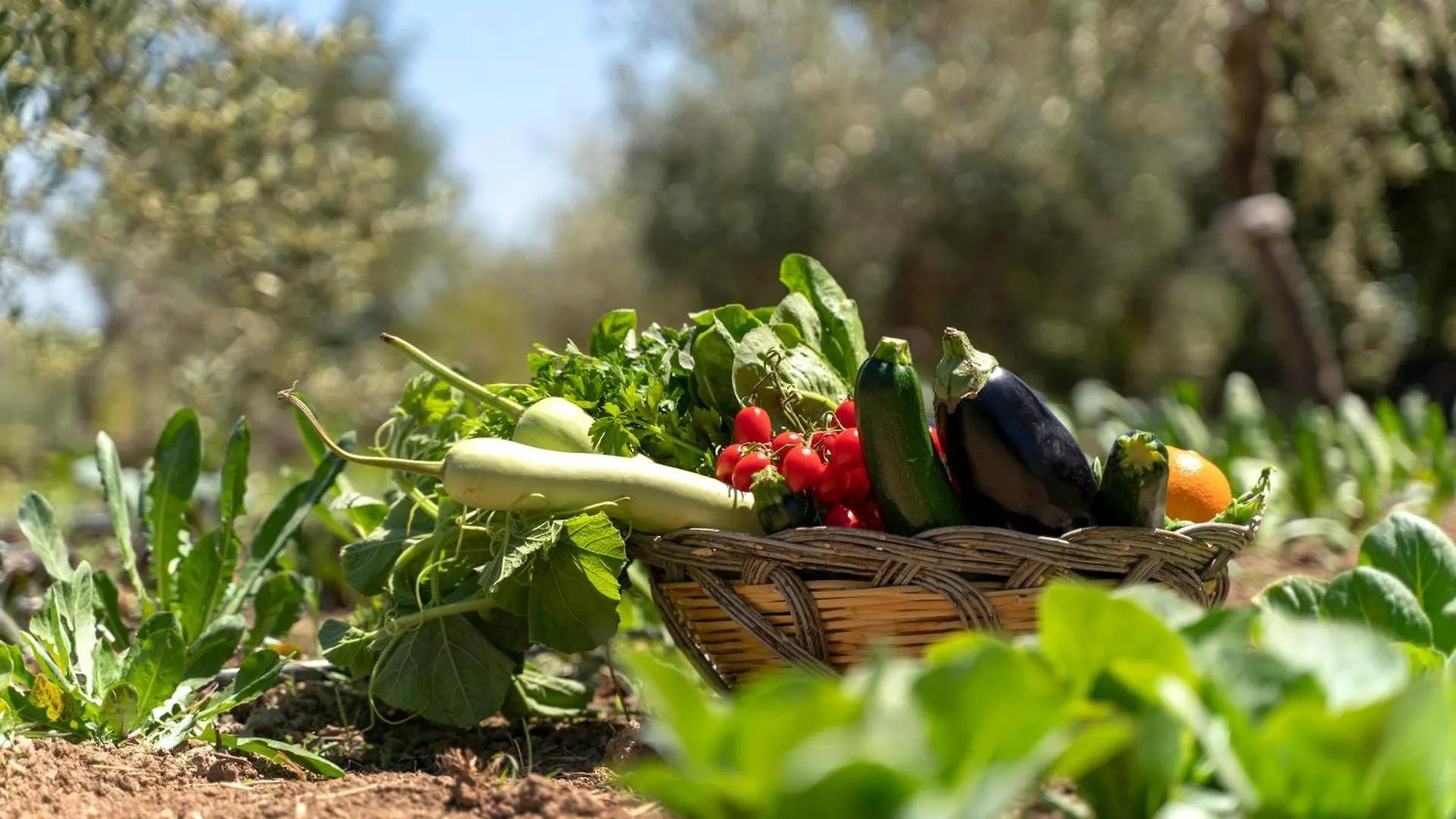 Farm stay Baglio Donna Concetta Villa Noto Italy